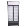 Visicooler 600 Lts. Maigas